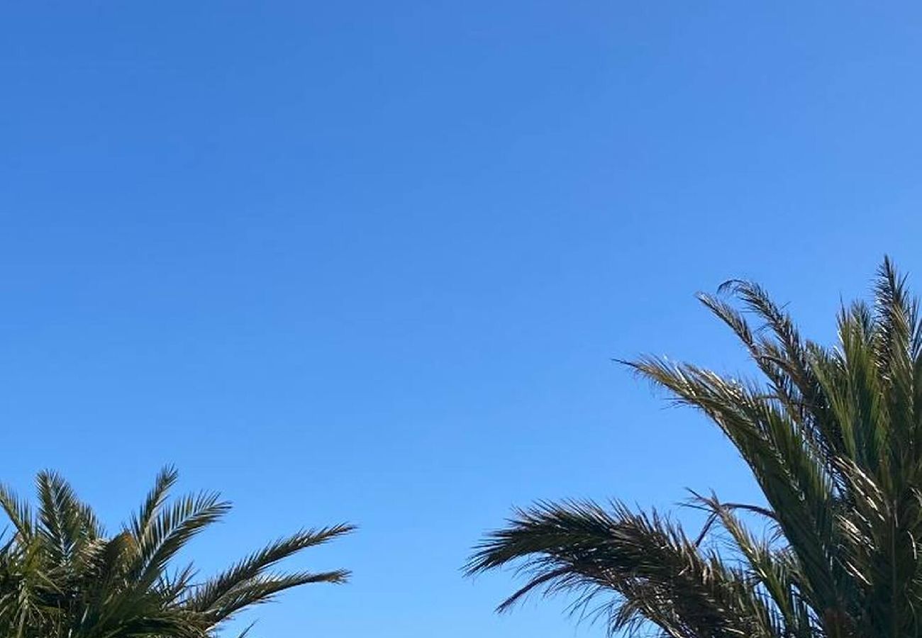 Apartment in Hyères - L'Horizon Bleu COM