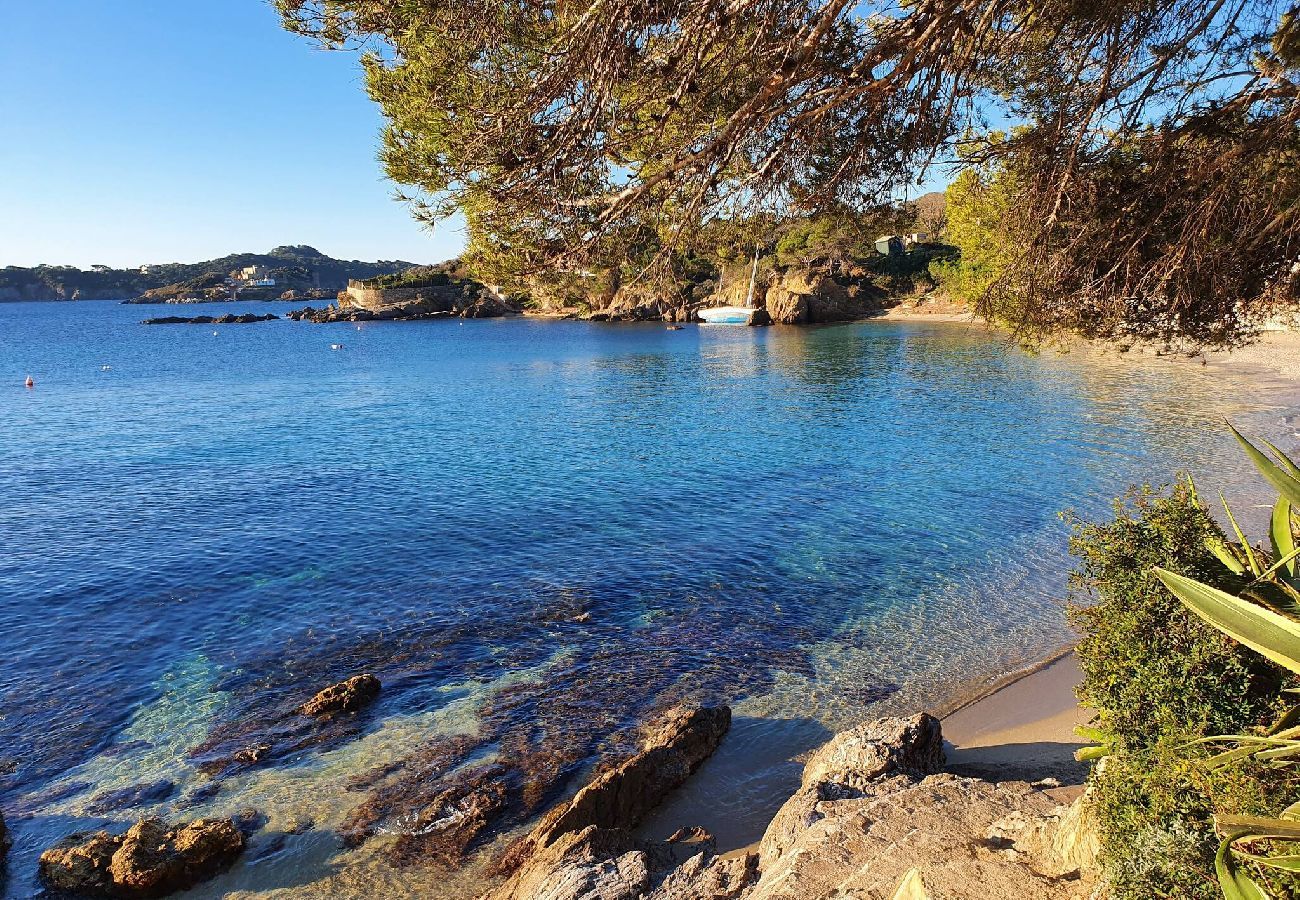 Villa in Hyères - White diamond of the peninsula pool