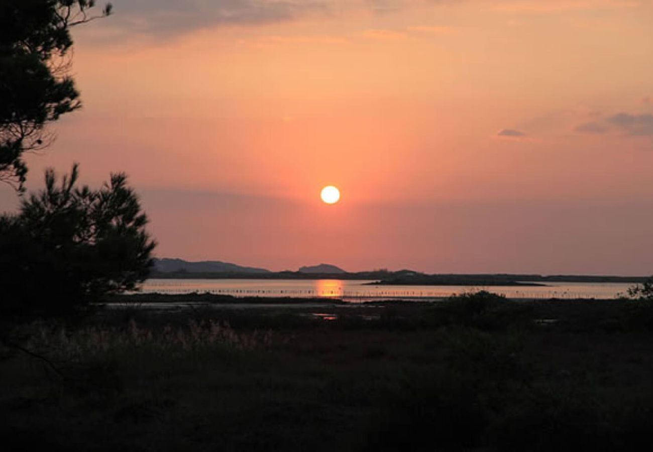 House in Hyères - Villa Hamac climatisée à 80m de la mer Beach House 