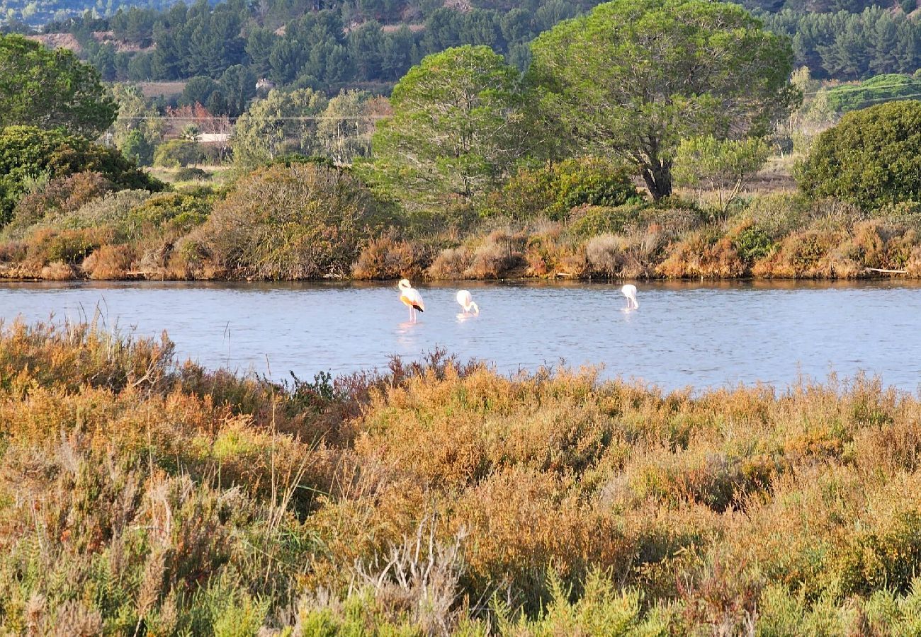 Apartment in Hyères - Sun – Terrace – 50m from the Beach – Hyères Vieux Salins