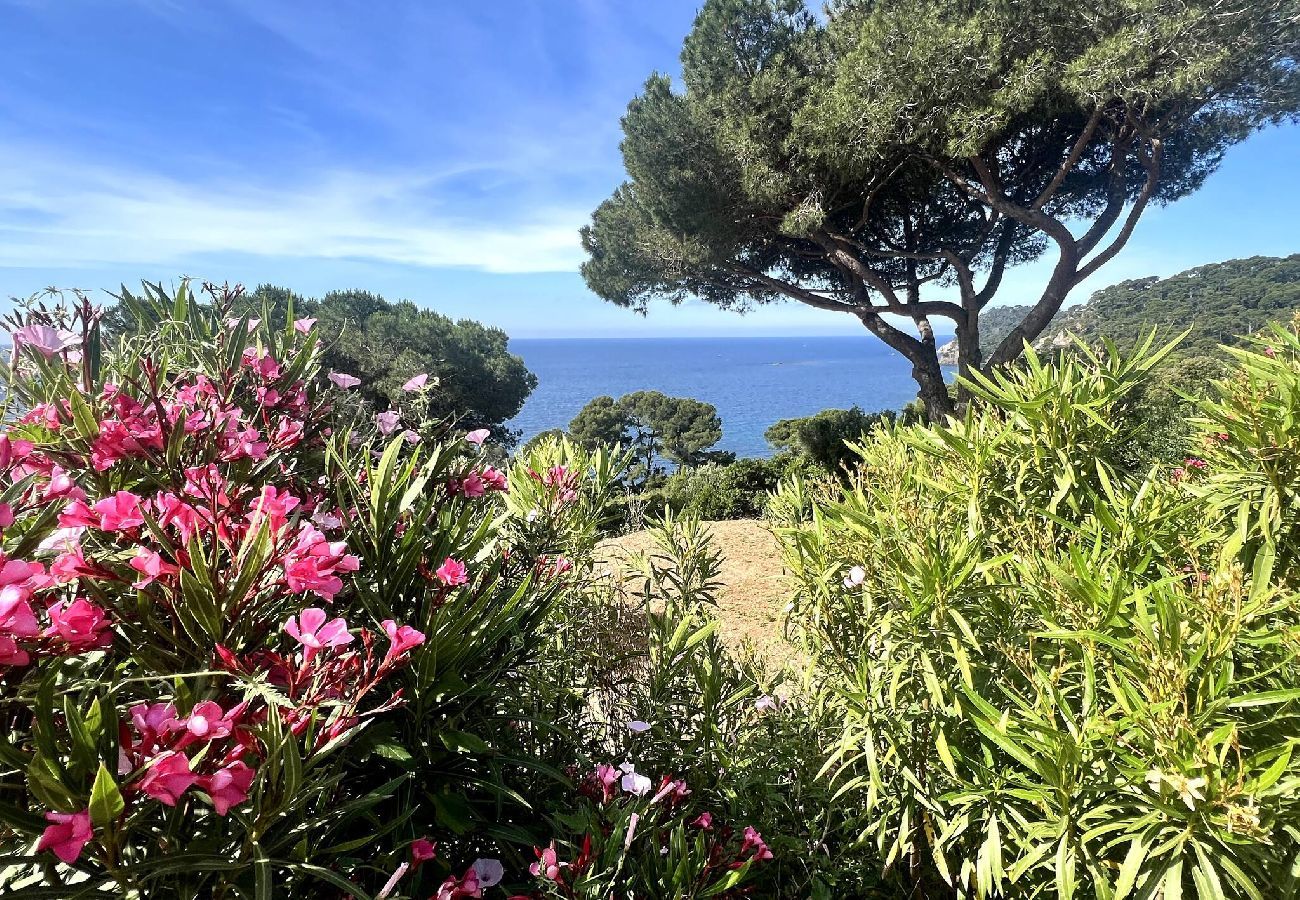 House in Hyères - Renovated Waterfront Paradise, Giens Peninsula A/C