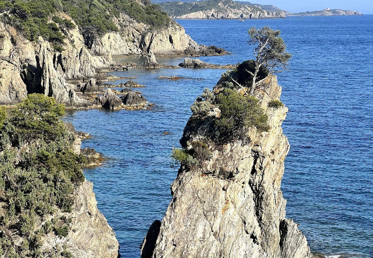 House in Hyères - Renovated Waterfront Paradise, Giens Peninsula A/C