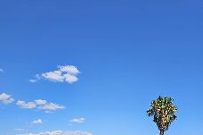 Appartement à Hyères - Essart de comte