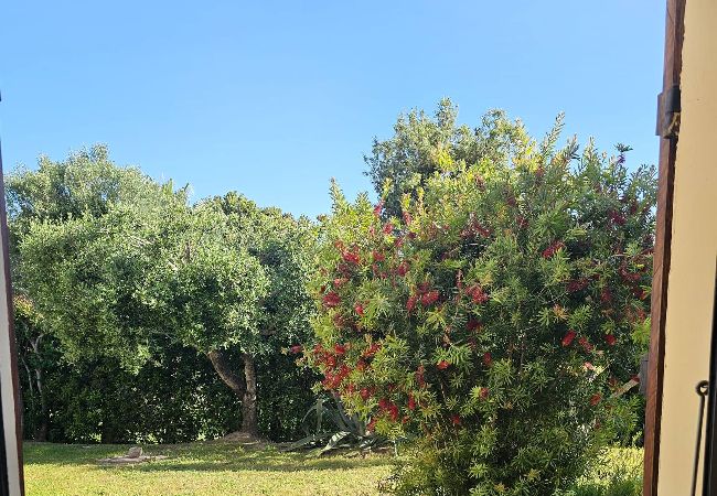 Maison à Hyères - Maisonnette mitoyenne 800m plage au calme