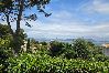 Maison à Hyères - L'Échappée Bleue – Cabanon vue mer 