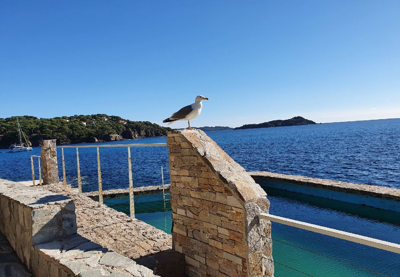 Appartement à Hyères - L'Ecrin Secret 
