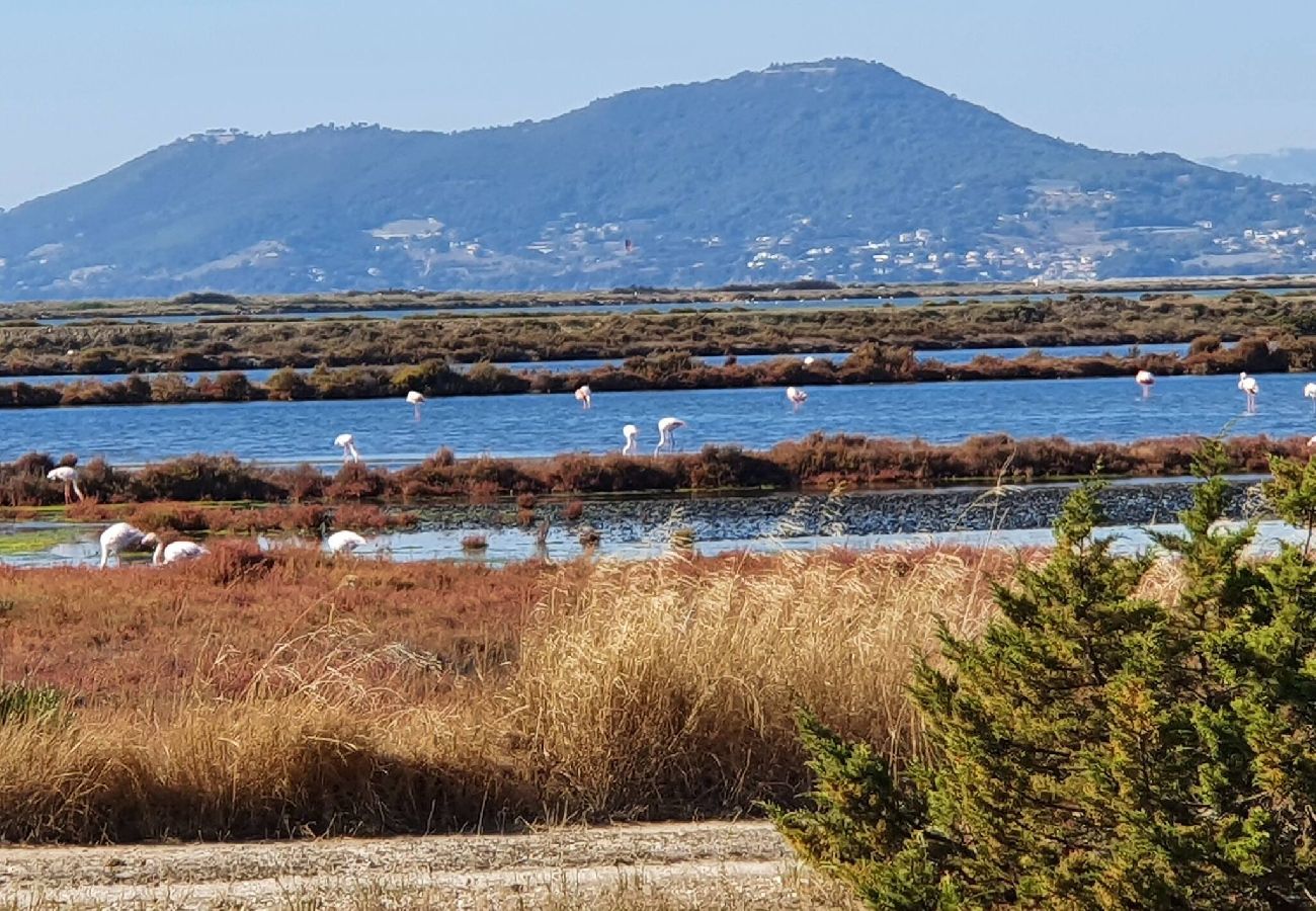 Villa à Hyères - Le diamant blanc de la presqu'île de Giens piscine 