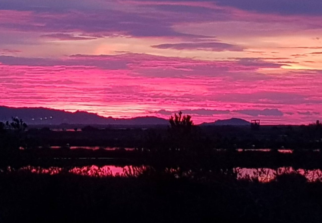 Villa à Hyères - Le diamant blanc de la presqu'île de Giens piscine 