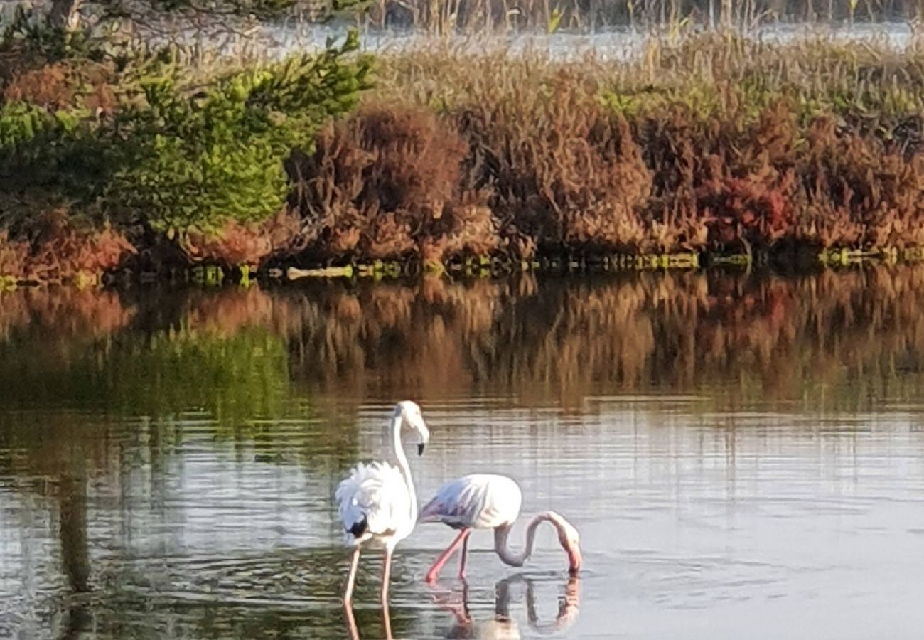 Villa à Hyères - Le diamant blanc de la presqu'île de Giens piscine 