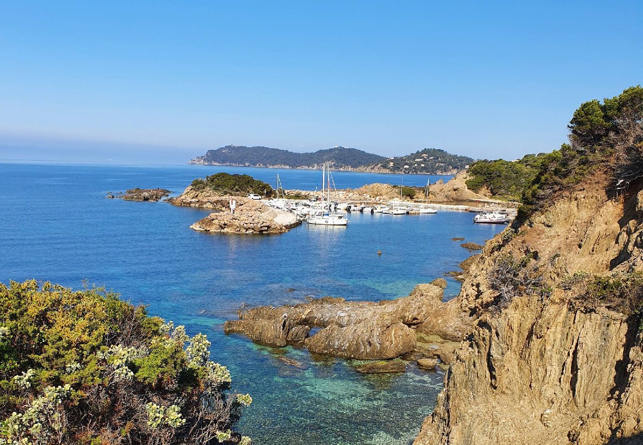 Villa à Hyères - Le diamant blanc de la presqu'île de Giens piscine 