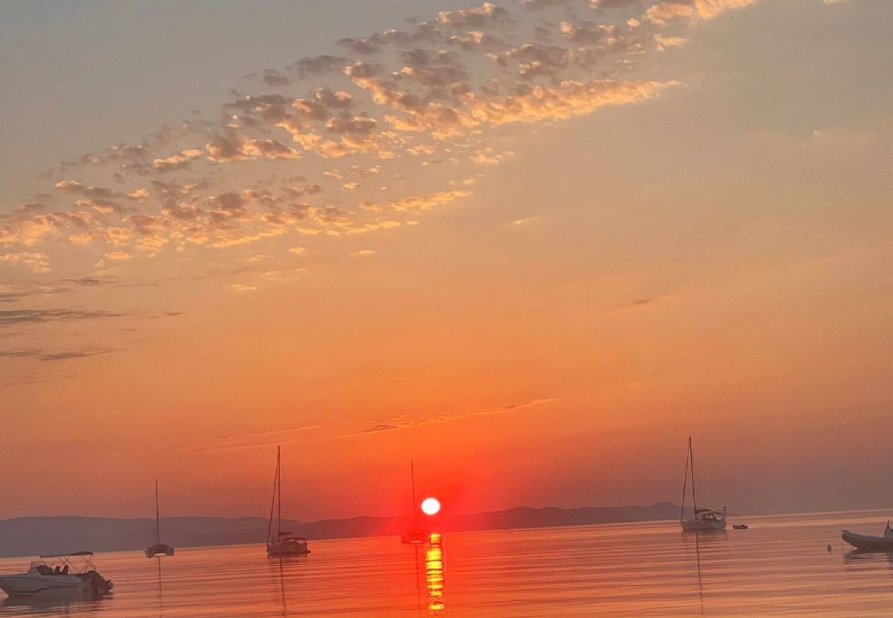 Appartement à Hyères - Le Cigalet Plage La Capte Jardin Presqu'île Giens 