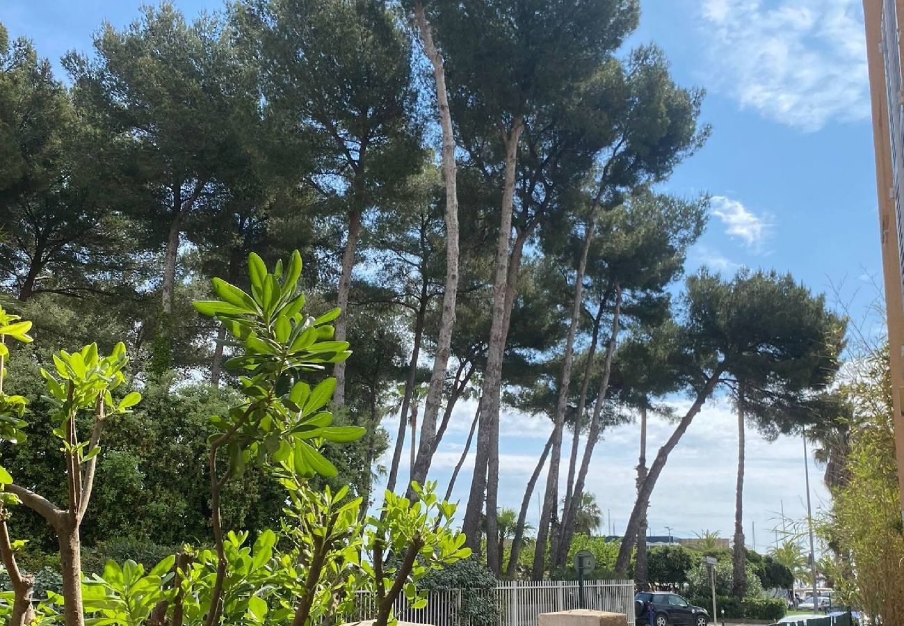 Appartement à Hyères - Évasion et plage au port sur Presqu’île de Giens 